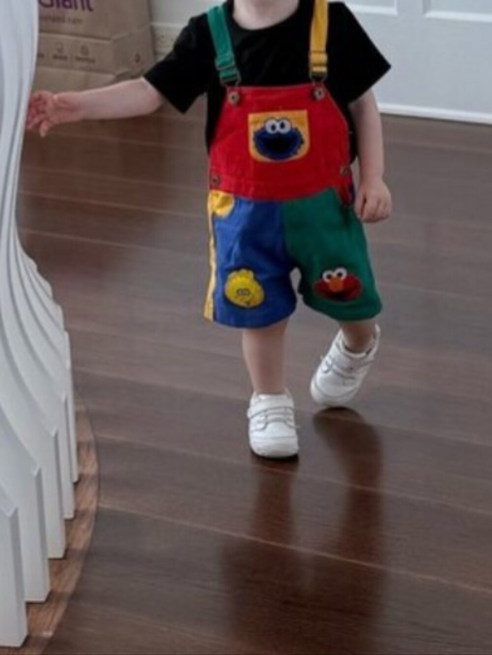 Elmo Overalls Elmo Jumpsuit Sesame Street Birthday Cookie Monster clothes - Picture 5 of 7